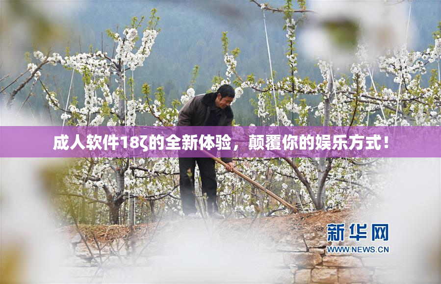 成人软件18ζ的全新体验，颠覆你的娱乐方式！