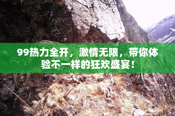 99热力全开，激情无限，带你体验不一样的狂欢盛宴！