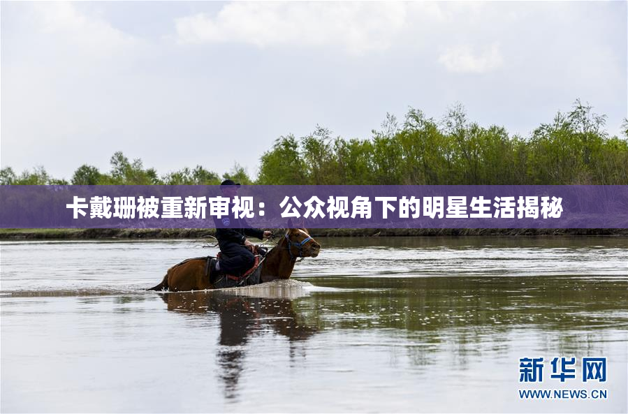 卡戴珊被重新审视：公众视角下的明星生活揭秘