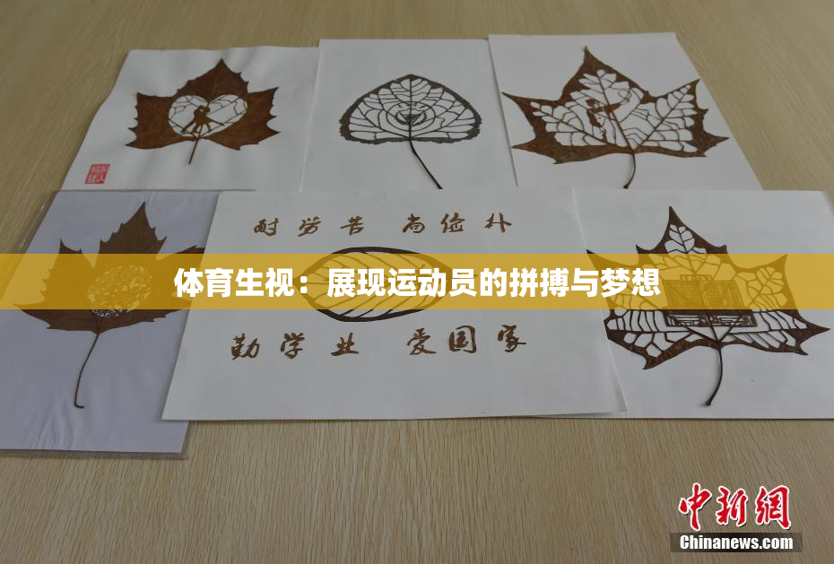 体育生视：展现运动员的拼搏与梦想