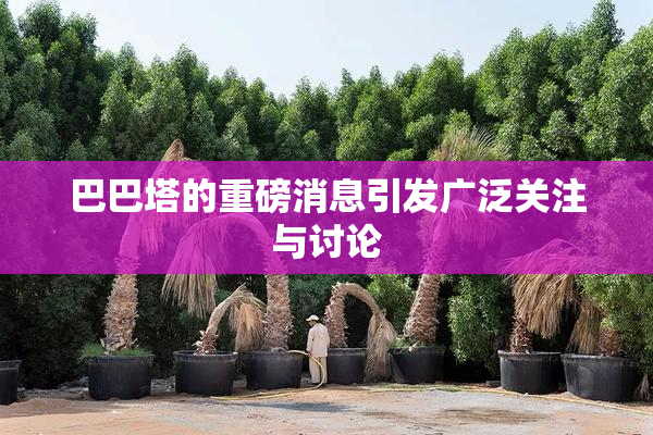 巴巴塔的重磅消息引发广泛关注与讨论