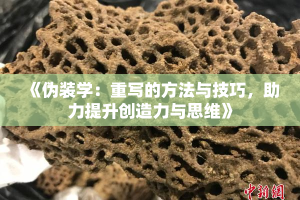 《伪装学：重写的方法与技巧，助力提升创造力与思维》