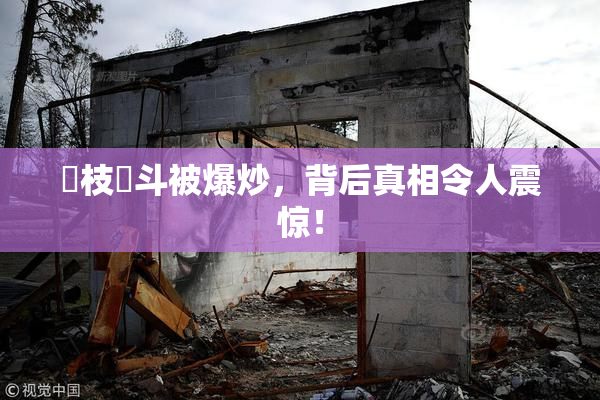 狛枝凪斗被爆炒，背后真相令人震惊！