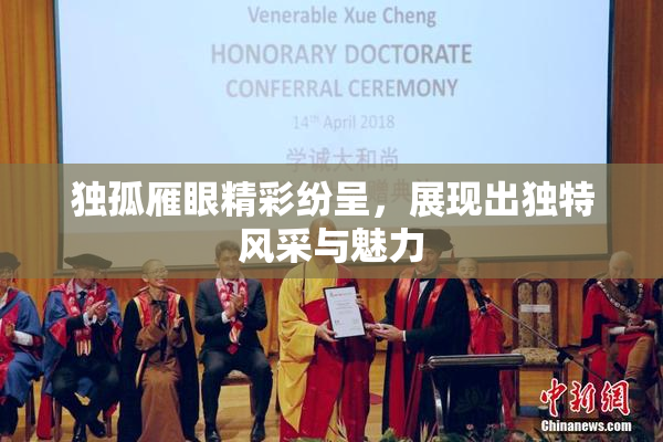 独孤雁眼精彩纷呈，展现出独特风采与魅力