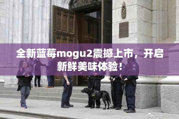 全新蓝莓mogu2震撼上市，开启新鲜美味体验！