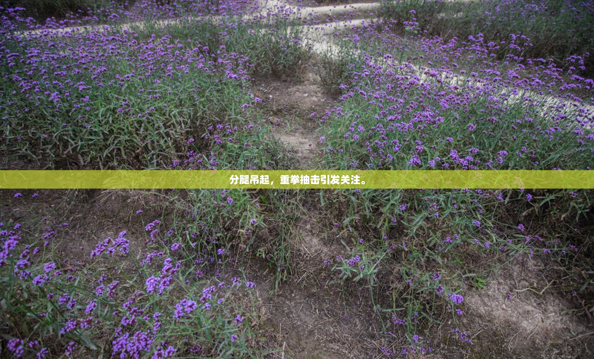 分腿吊起，重拳抽击引发关注。