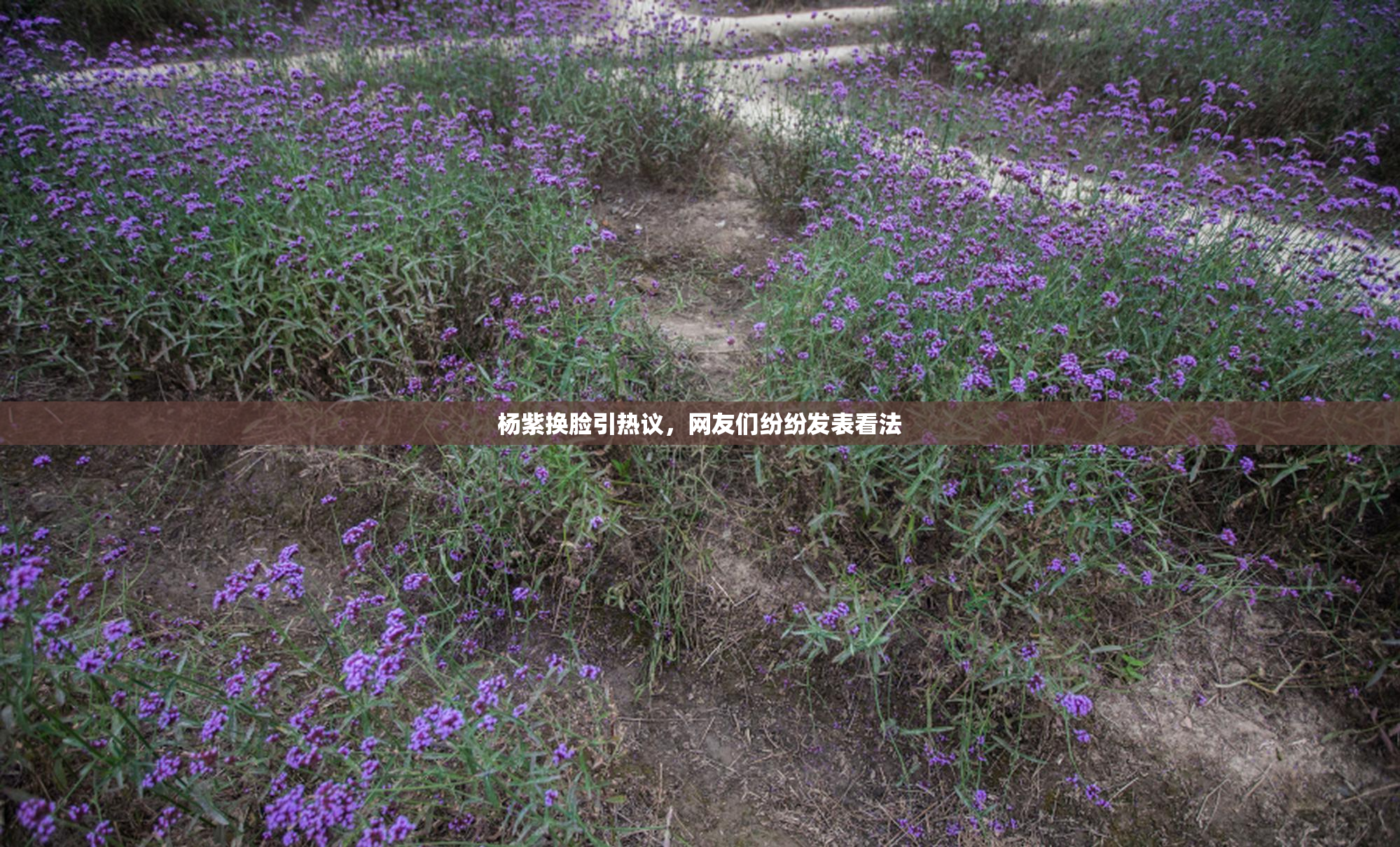 杨紫换脸引热议，网友们纷纷发表看法