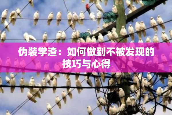 伪装学渣：如何做到不被发现的技巧与心得