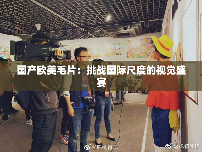 国产欧美毛片：挑战国际尺度的视觉盛宴