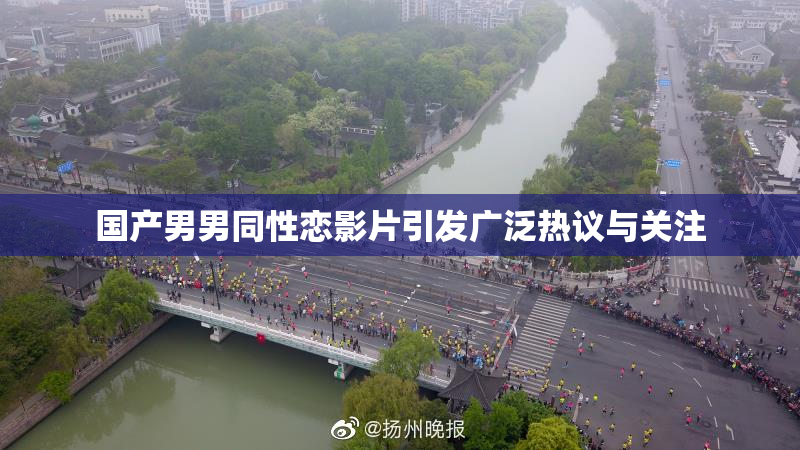 国产男男同性恋影片引发广泛热议与关注