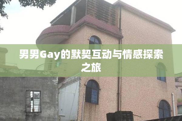 男男Gay的默契互动与情感探索之旅