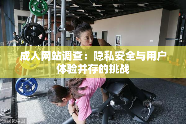 成人网站调查：隐私安全与用户体验并存的挑战