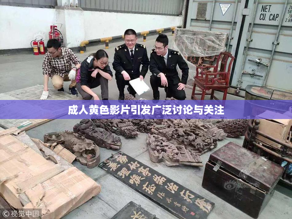 成人黄色影片引发广泛讨论与关注