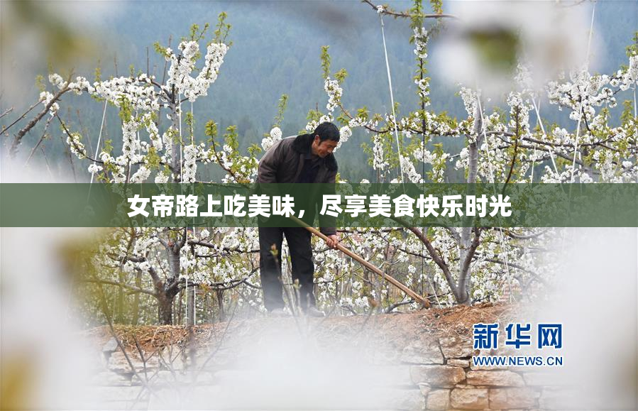 女帝路上吃美味，尽享美食快乐时光