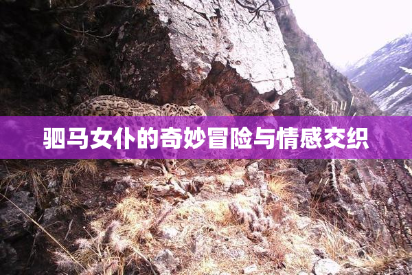 驷马女仆的奇妙冒险与情感交织