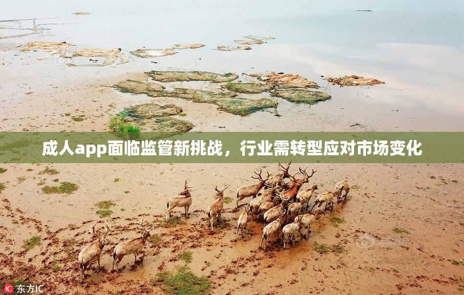 成人app面临监管新挑战，行业需转型应对市场变化