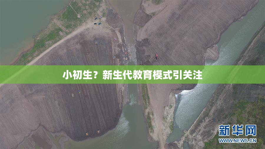 小初生？新生代教育模式引关注