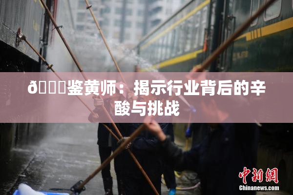 🔞鉴黄师：揭示行业背后的辛酸与挑战