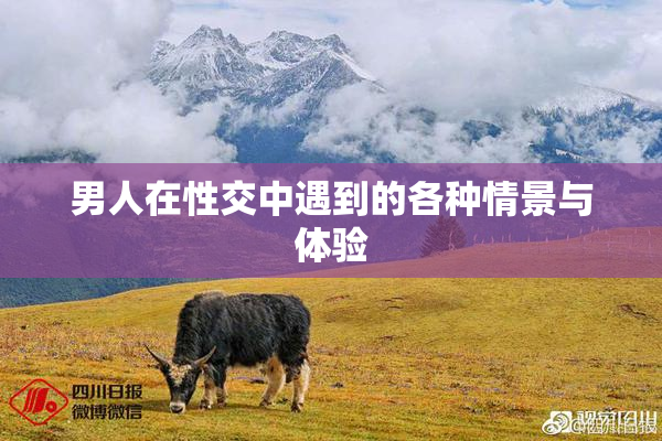 男人在性交中遇到的各种情景与体验