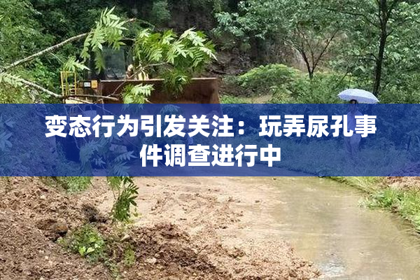 变态行为引发关注：玩弄尿孔事件调查进行中