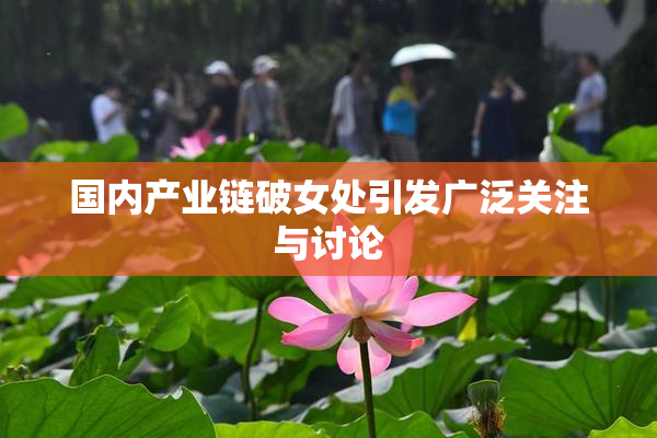 国内产业链破女处引发广泛关注与讨论