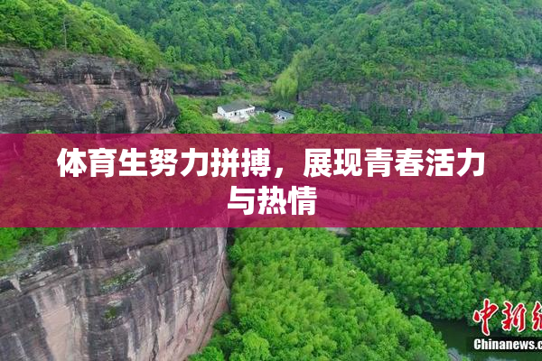 体育生努力拼搏，展现青春活力与热情