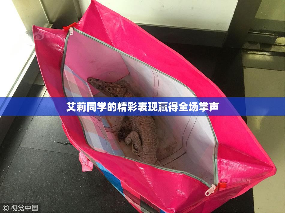 艾莉同学的精彩表现赢得全场掌声