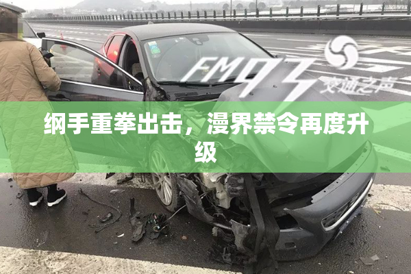 纲手重拳出击，漫界禁令再度升级