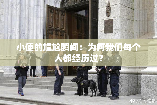 小便的尴尬瞬间：为何我们每个人都经历过？