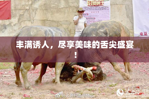 丰满诱人，尽享美味的舌尖盛宴！