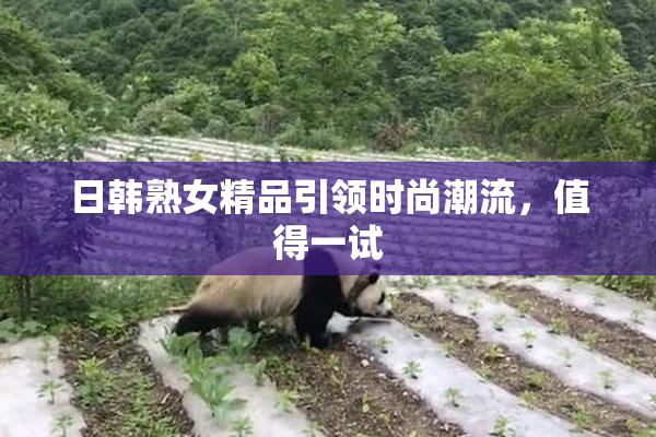 日韩熟女精品引领时尚潮流，值得一试