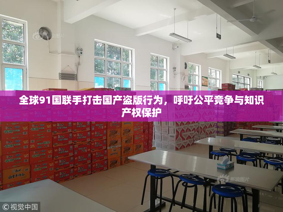 全球91国联手打击国产盗版行为，呼吁公平竞争与知识产权保护