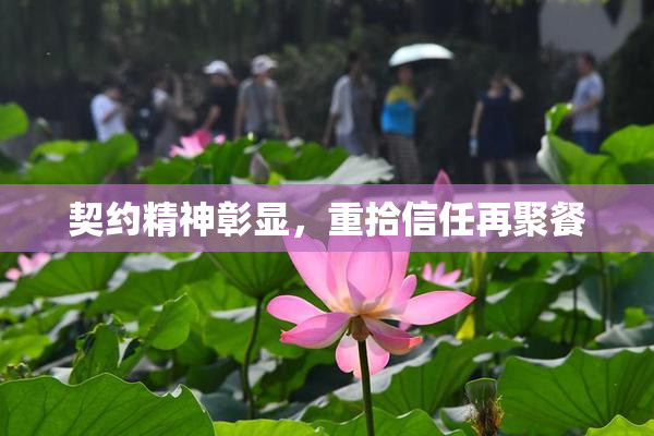 契约精神彰显，重拾信任再聚餐