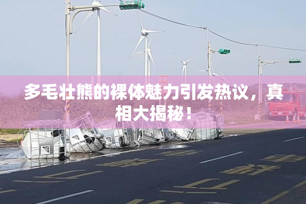 多毛壮熊的裸体魅力引发热议，真相大揭秘！