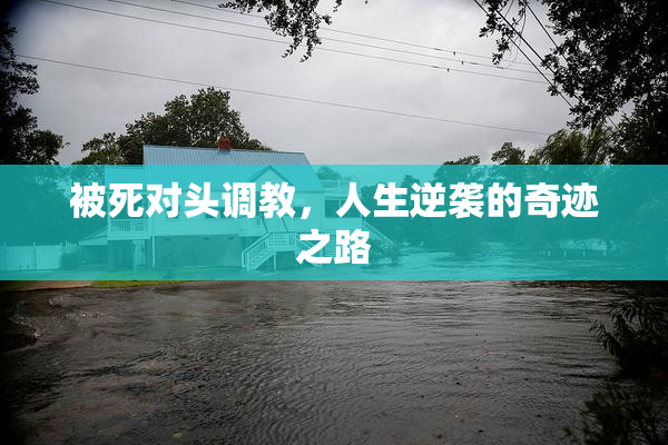 被死对头调教，人生逆袭的奇迹之路