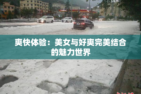 爽快体验：美女与好爽完美结合的魅力世界