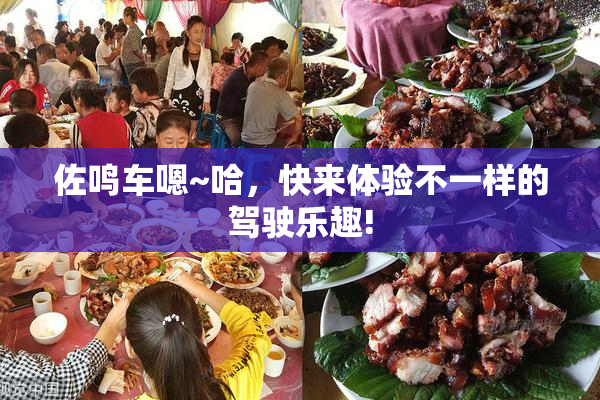 佐鸣车嗯~哈，快来体验不一样的驾驶乐趣!