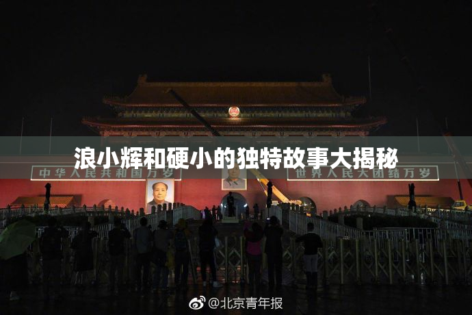 浪小辉和硬小的独特故事大揭秘