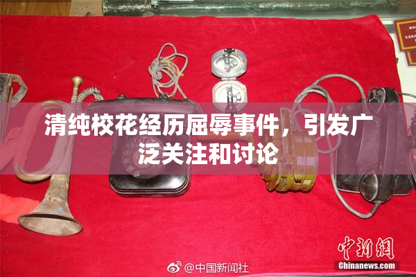 清纯校花经历屈辱事件，引发广泛关注和讨论