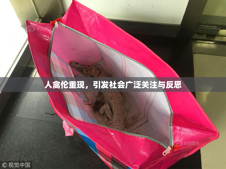 人禽伦重现，引发社会广泛关注与反思
