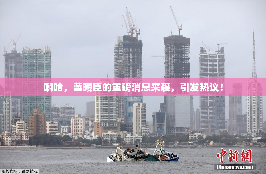 啊哈，蓝曦臣的重磅消息来袭，引发热议！