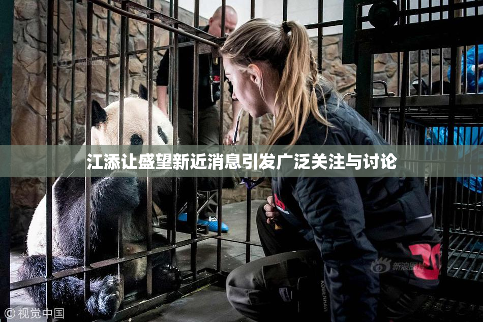 江添让盛望新近消息引发广泛关注与讨论