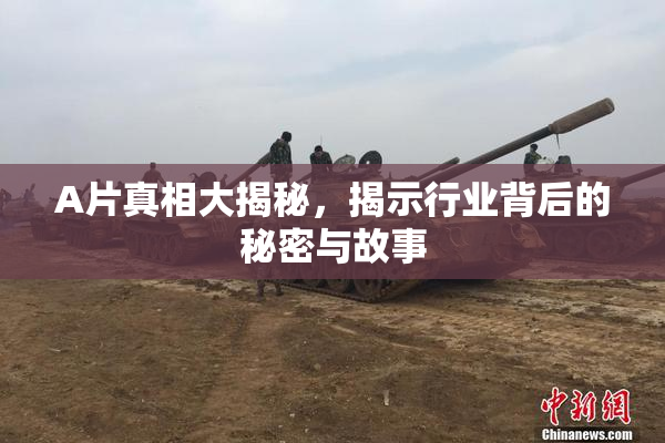 A片真相大揭秘，揭示行业背后的秘密与故事