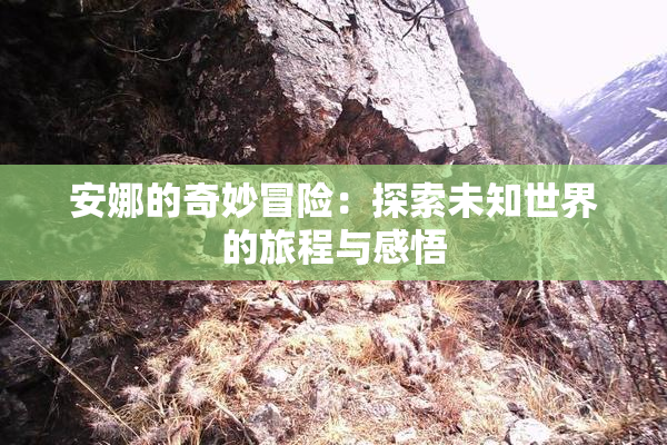 安娜的奇妙冒险：探索未知世界的旅程与感悟