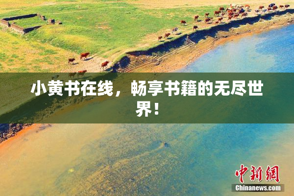 小黄书在线，畅享书籍的无尽世界！