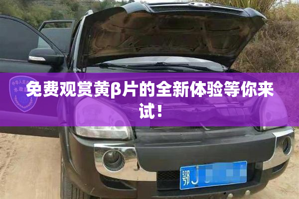 免费观赏黄β片的全新体验等你来试！