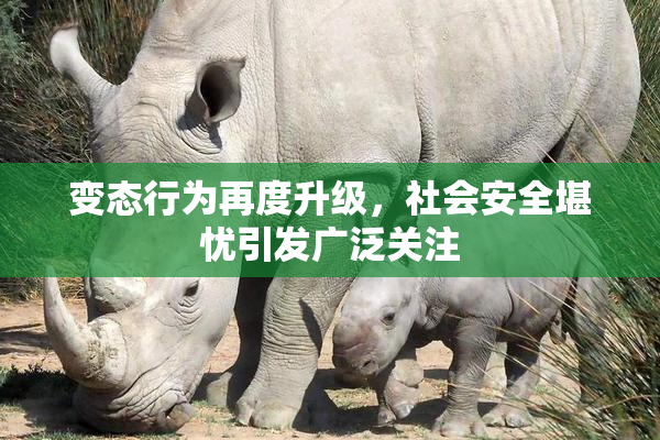 变态行为再度升级，社会安全堪忧引发广泛关注