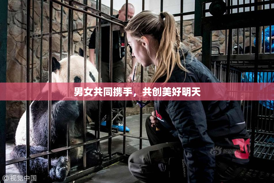男女共同携手，共创美好明天