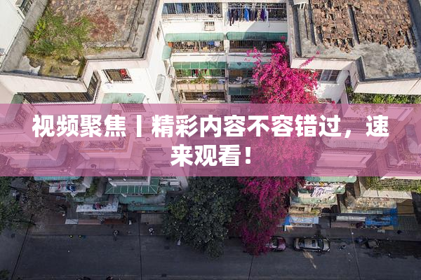 视频聚焦丨精彩内容不容错过，速来观看！