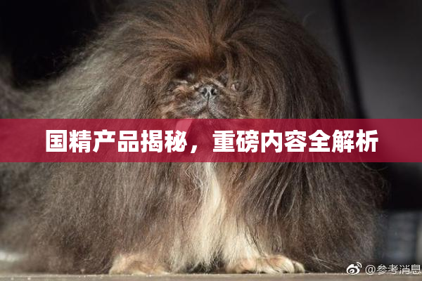 国精产品揭秘，重磅内容全解析